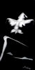 nudo_in_penombra_acrilico_su_tela_40x80.jpg