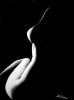 nudo_silouette_acrilico_su_tela_60x80.jpg